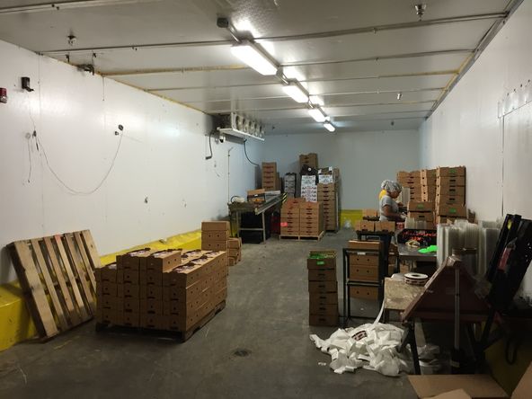 Bank-Owned Cold Storage Warehouse (USDA-Approved) & Expansion Lot : 290 SW 14th Ave, Pompano Beach, FL 33069